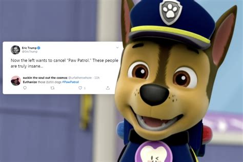 Protesters ‘jokingly Call For Paw Patrol To Be Canceled Sparking Fury