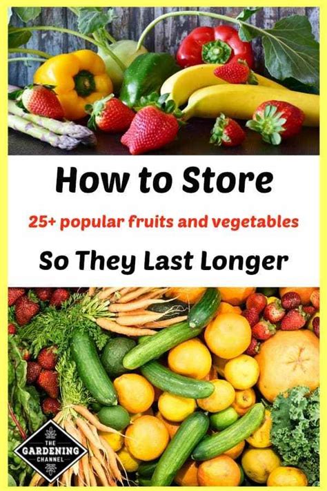 Read These Pro Tips On Storing 25 Plus Popular Fruits And Vegetables So