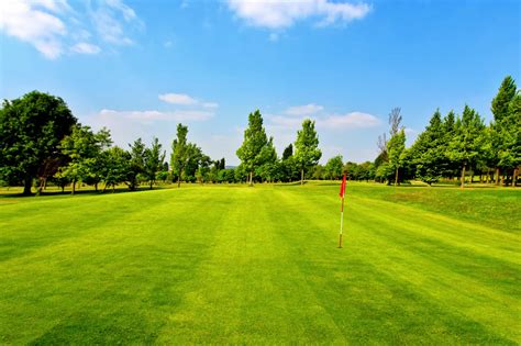 6 Types Of Golf Course Grasses Differences Color Appearance