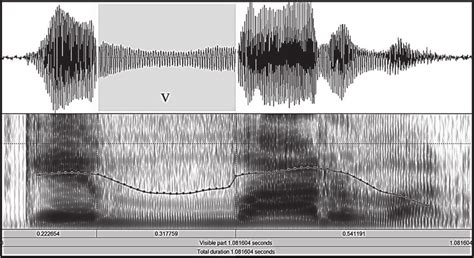 Waveform Spectrogram And F0 Contour Of The Utterance ¡qué Bárbaro