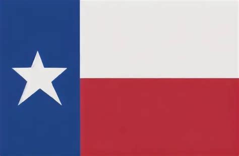 Texas Flag Openart