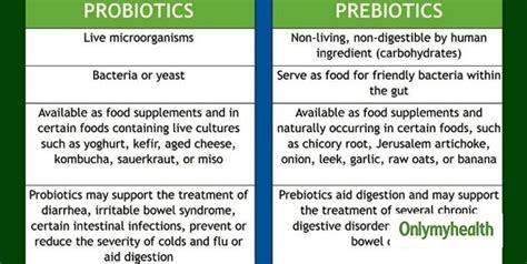 Probiotics Vs Prebiotics Do You Know The Difference Between Them 0