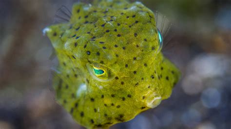 Underwater Photography Near Me Astounding Images From The
