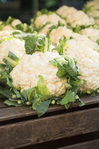 How To Grow Cauliflower In Containers In 2020 Growing Cauliflower