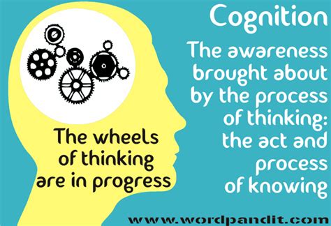 Quotes About Cognition Quotesgram