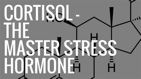 Cortisol The Master Stress Hormone Youtube