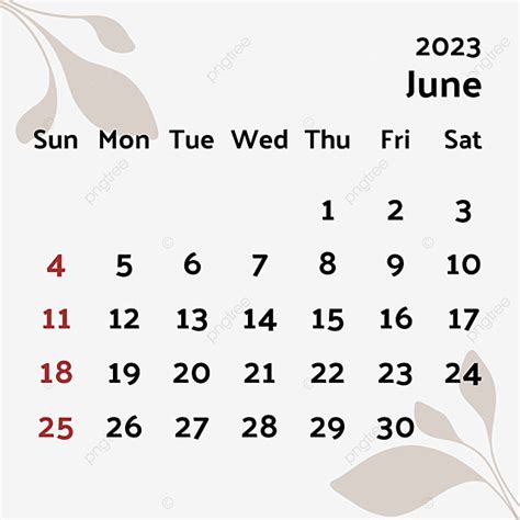 June Calendar White Transparent Aesthetic June Calendar Calendar