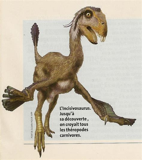Dinosaures Et Animaux Disparus Résultat