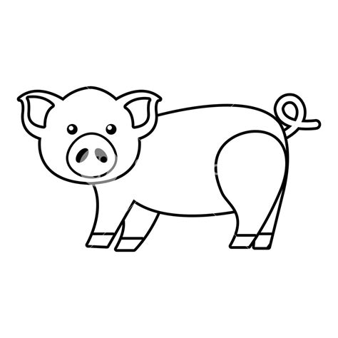 Pig Outline Vector At Collection Of Pig Outline