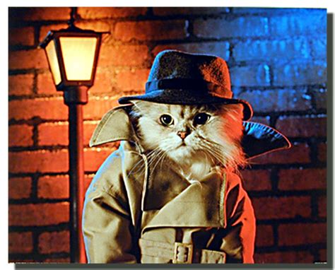 Cat Poster Detective Impact Posters Gallery