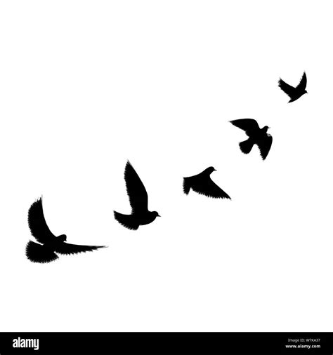 Black Grunge Flying Birds Silhouettes Isolated On White Background