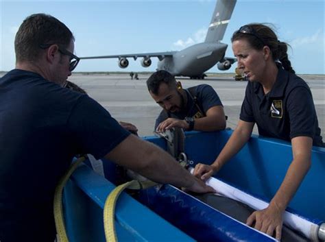 Air Force Transports Us Navy Dolphin From Key West To San Diego