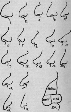 Scientist's study classifies different shapes of noses. 1000+ images about Noses on Pinterest | Face shape chart ...