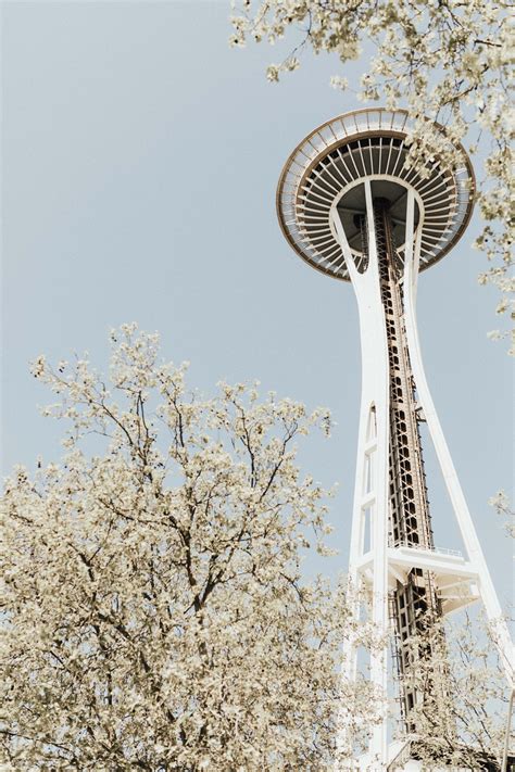 the ultimate highway 101 north travel guide: sacramento to seattle
