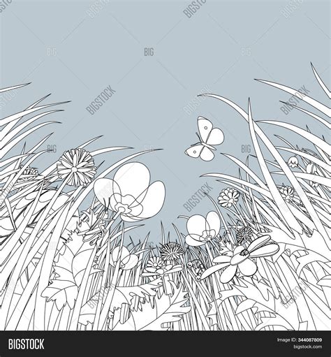Linear Drawing Meadow Image And Photo Free Trial Bigstock