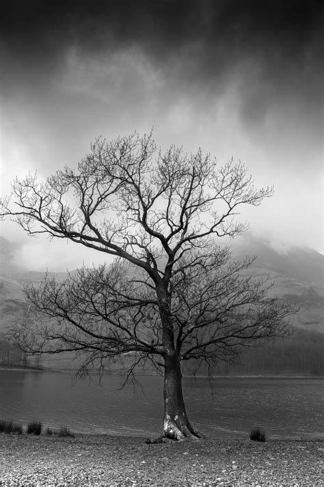 Maybe you would like to learn more about one of these? 100+ Emotional Images HQ | Download Free Pictures on ...