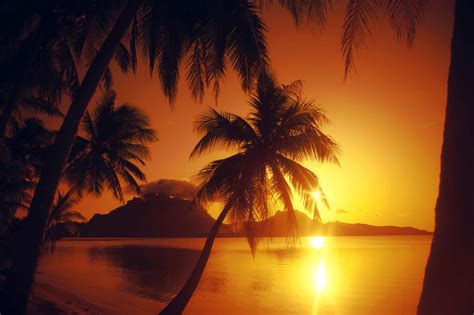 16 Beach Sunset Backgrounds Bed Room Designs Design
