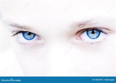 Intense Blue Eyes Royalty Free Stock Images Image 1087609