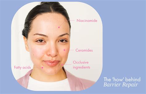 5 Ingredients That Will Actually Repair Your Skin Barrier - Best