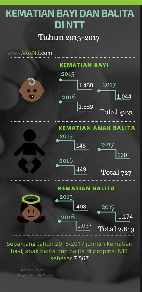 Infografis Angka Kematian Bayi Anak Balita Dan Balita Di Propinsi Ntt