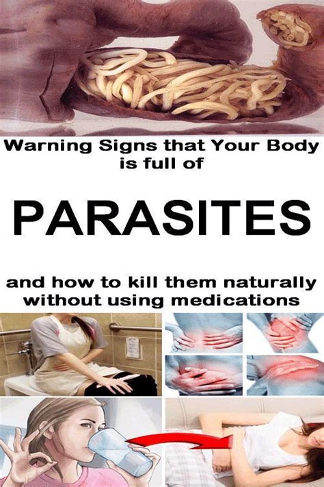 Warning Signs That You Have Parasites In Your Body And How To Destroy