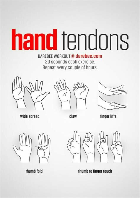 Hand Tendon Climbing Workout Exercise Wrist Exercises