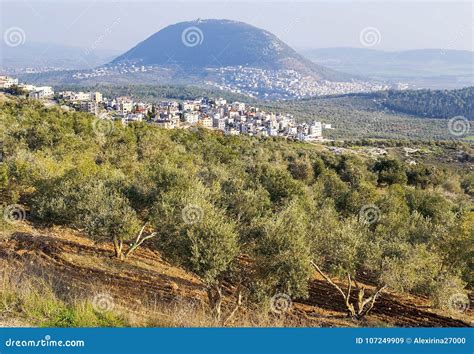 View Of The Biblical Mount Tabor Lower Galilee Israel Stock Image