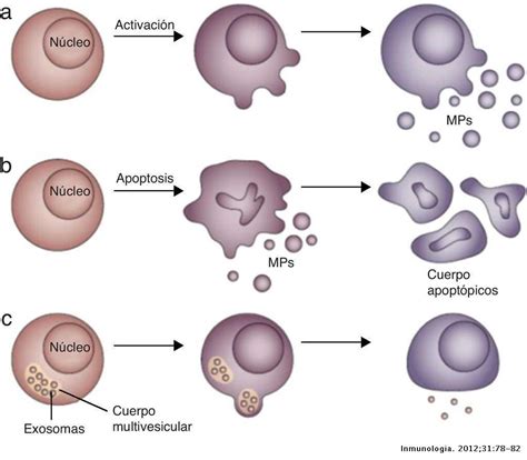 Micropartículas Como Sustrato Antigénico En Lupus Eritematoso Sistémico