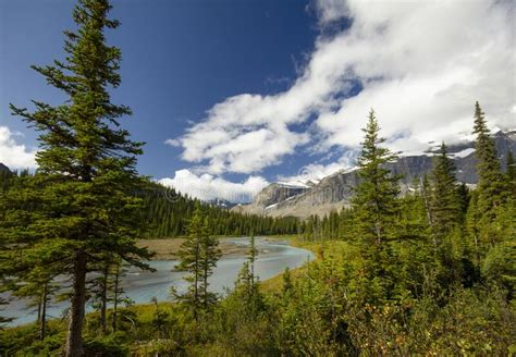 Berg Lake Trail Mount Robson Provincial Park British Columbia Canada