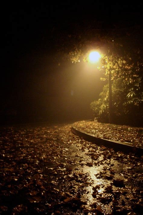 Autumn Rain Wallpapers High Quality Download Free