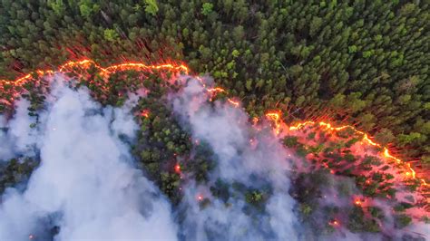 Wildfires Rage Across Siberia An Aerial View Shows A Forest Fire In