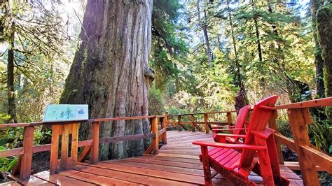 14 Top Rated Attractions And Things To Do On Vancouver Island Planetware