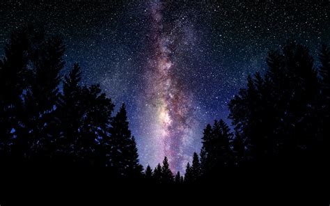 Landscape Sky Stars Forest Night Wallpaper 1680x1050