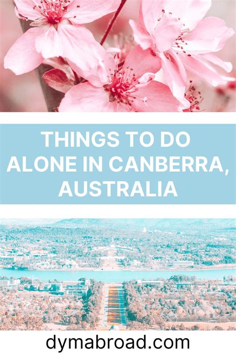 16 Things To Do Alone In Canberra Solo Travel In Canberra Artofit