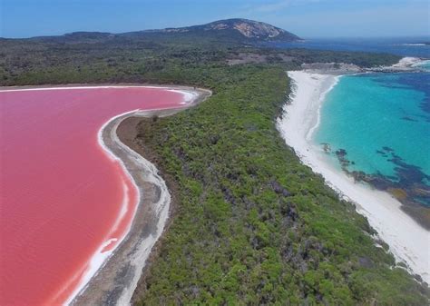 Bubble Gum Pink Lakes One Natures Unusual Ocean Alliance