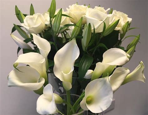 Cala Lilys Lilies And Roses Florist Flowers Calla