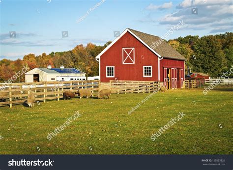 Red Barn Farm Animals This Scenic Stock Photo 155533835 Shutterstock