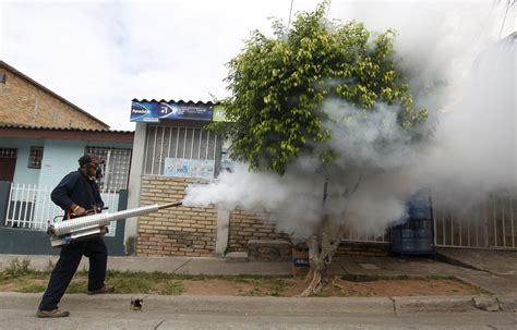 Who Holds Emergency Meeting On Zika Virus The Mail And Guardian
