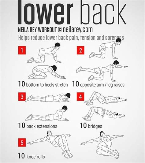 21 Best Low Back Pain Exercises Patient Handout Images On Pinterest