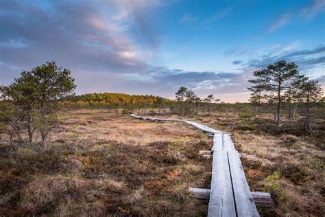 Finlands Most Stunning National Parks