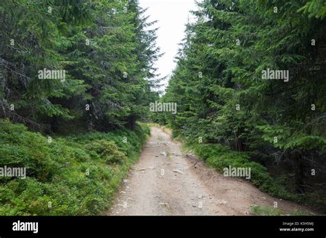 Stoney Road Hi Res Stock Photography And Images Alamy