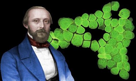 Rudolf Virchow Biography Facts And Pictures