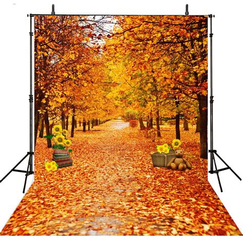 Scenic Photography Backdrops Forest Vinyl Backdrop For Photography