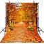 Scenic Photography Backdrops Forest Vinyl Backdrop For 