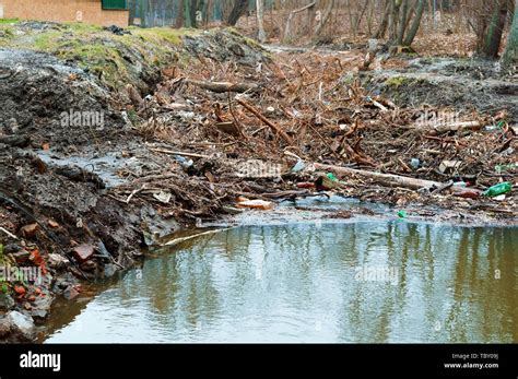 Umwelt Umweltverschmutzung Müll Im Wald Fotos Und Bildmaterial In Hoher Auflösung Seite 2