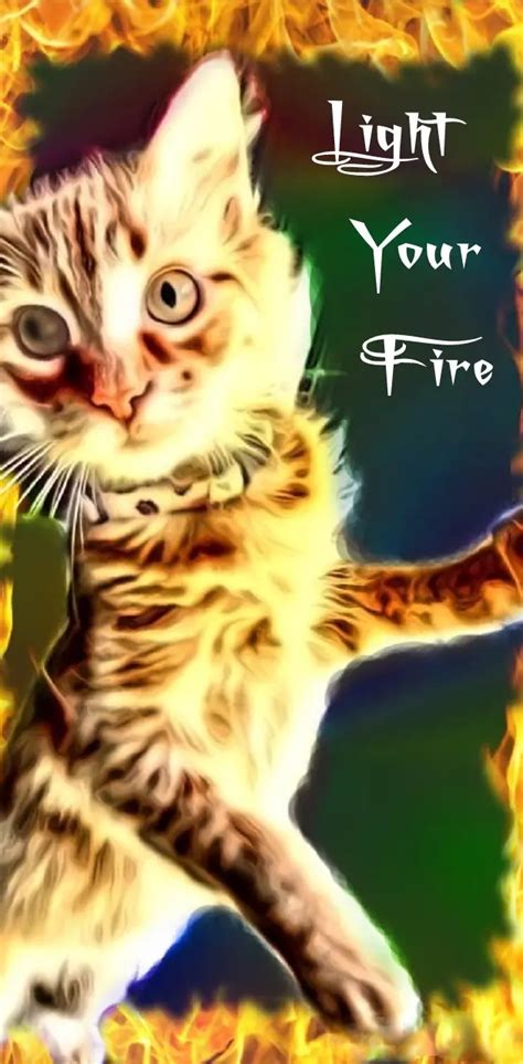 Light Your Fire Cat Wallpaper By 1artfulangel Download On Zedge Dac6