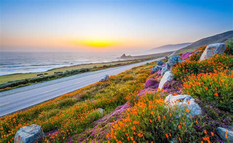 Sky Road Stones Flower Poppies Sky Sea Sunset Hd Wallpaper