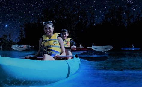 Bioluminescent Kayaking And Rafting Floridas Best Bioluminescence Tours