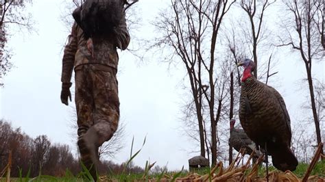 Fall Turkey Hunting In Western Kentucky Youtube