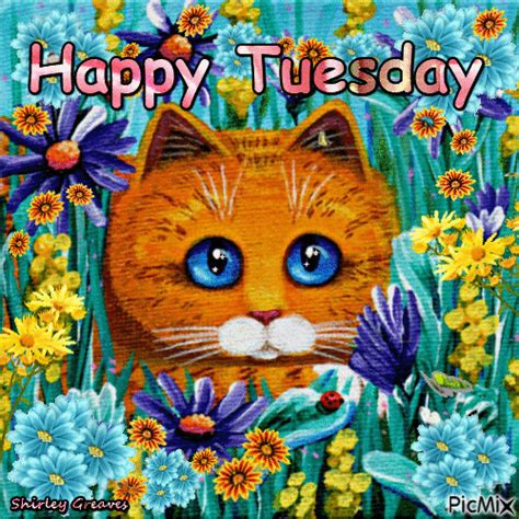 Kitty Happy Tuesday Gif Tuesday Tuesday Quotes Happy Tuesday Tuesday Images Tuesday Image Quotes